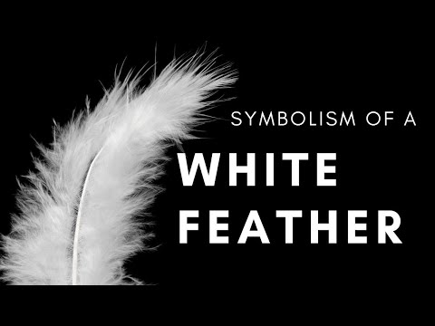 Symbolism of a White Feather - What does it mean if you see one?