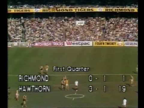 VFL R17 1983 - Richmond v Hawthorn