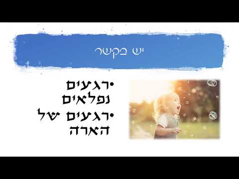 תמונה של דינה טיפול באמנות
