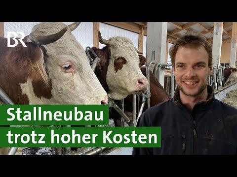 , title : 'Neuen Kuhstall bauen trotz hoher Baukosten? Selbst machen! | Unser Land | BR'