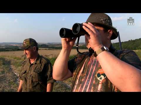 Darz Bór odc. 112 - Polowanie na kozła z wabikiem cz. 2