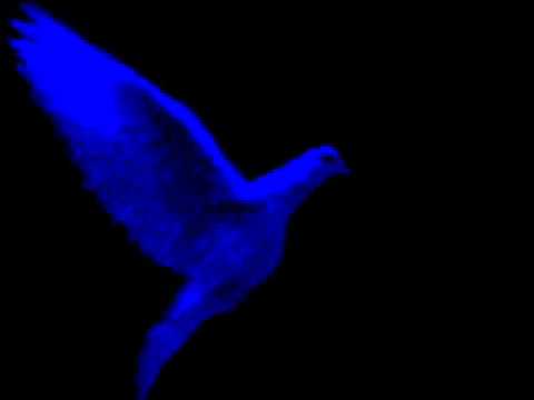 ▶ Florian Tyack & Funkbrainer - Hellball ( Original Mix ) by Fun