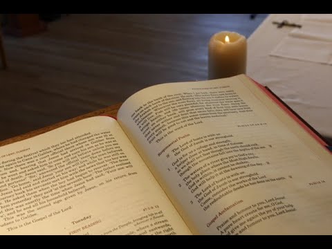 29) Hierarchy, Laity, Consecrated Life - Catechism of the Catholic Church 871-945