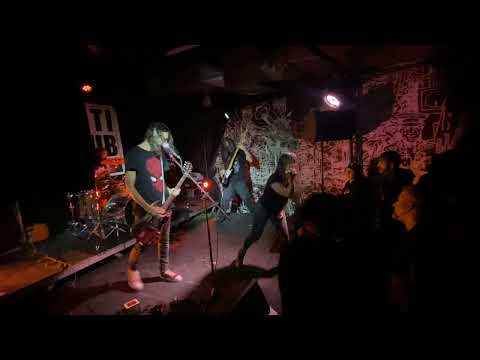 Play Video Youtube Video