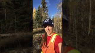 Dr. Michelle DeWolfe, PhD, professor in the Department of Earth and Environmental Sciences at MRU