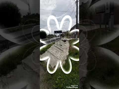 Tiream-Mezőterem-part 2