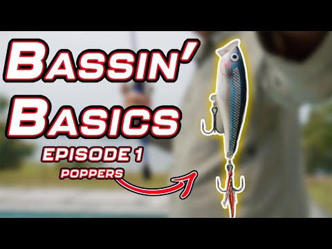 Bassin’ Basics - Episode 1 - ( POPPERS )