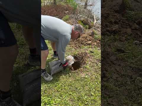 So installieren Sie einen Fahnenmast