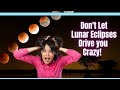 November 19th Lunar ECLIPSE DON T Let It Bring You Down Rebecca Abraxas