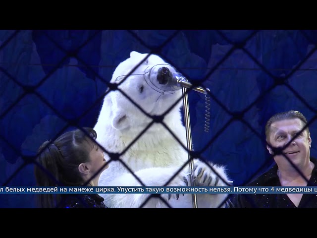 Лёд не тает, а вот сердца плавятся