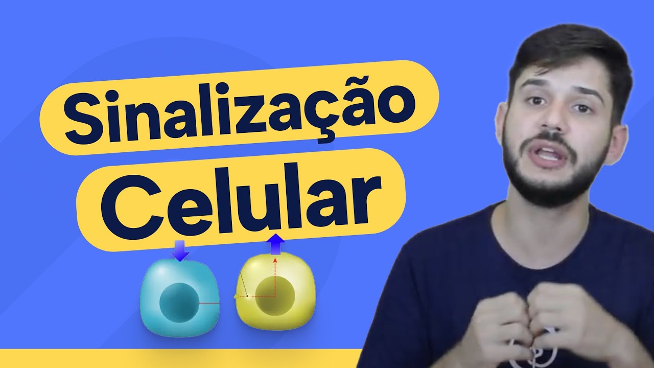 Como funciona a Sinalização Celular? #medicina