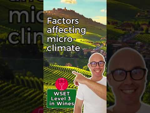 Factors Affecting Microclimate in a Vineyard I WSET Level 3 in Wines @thirstyandwise