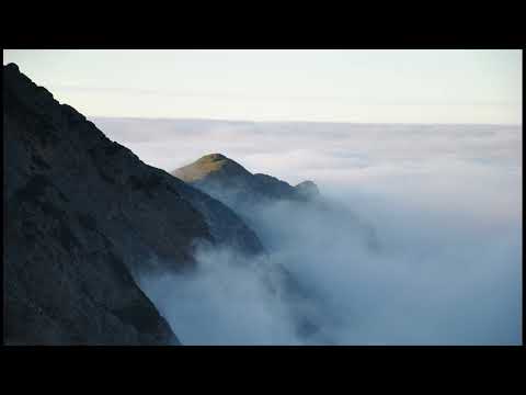 Petre Sabadeanu - Mandrulita ardeleana