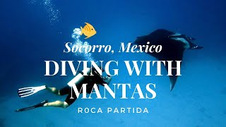 Socorro Islands - Diving with Manta Rays in Roca Partida