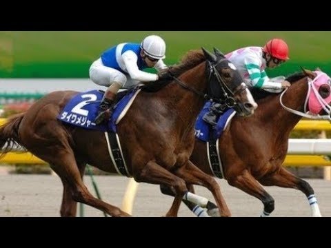 2007 Yasuda Kinen G1 - Daiwa Major (大和主將) - K.Ando (好爸爸*步步穩*勝利飛駒均無功而還)