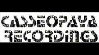 Casseopaya - Move Your Body