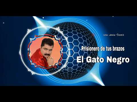 prisionero de tus brazos ♡ el gato negro