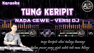 Download lagu Tung keripit - Karaoke nada cewe versi dj - Aldy Music358 mp3