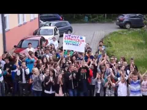 Gimnazjum w Domanicach Kolonii