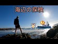 トレーニング・ドライブ・牛・海・買い物