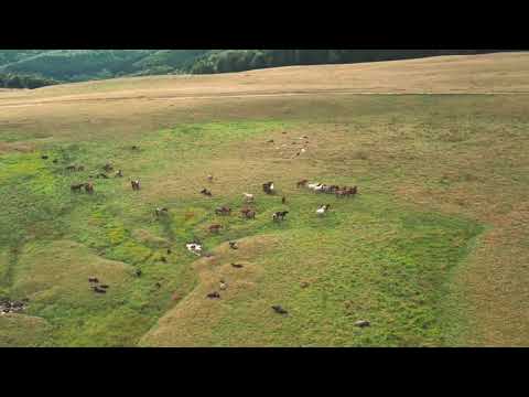 beautiful 🌹 nature stock ,/Janan creatives.