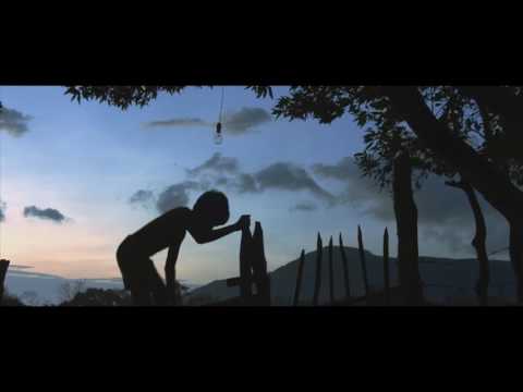 Perpetual Treasuries TVC