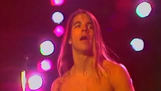 Red Hot Chili Peppers   Hollywood (Africa) (Legendado em Português)