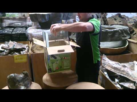 How to set up an Aquael Shrimp tank