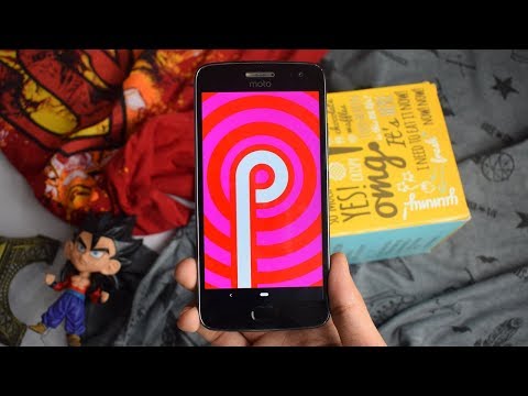 Motorola Moto G5 Plus Android 9.0 Pie [How to Install]