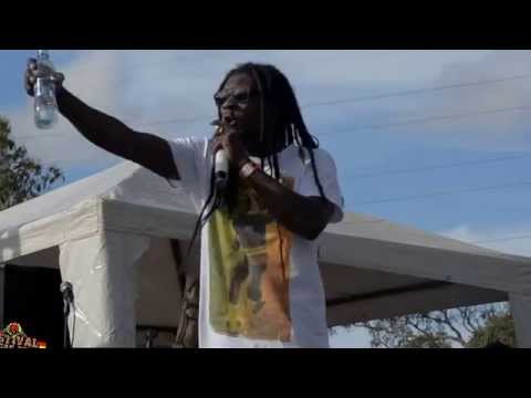 Festival Reggae Zoue 2014..... fight apart