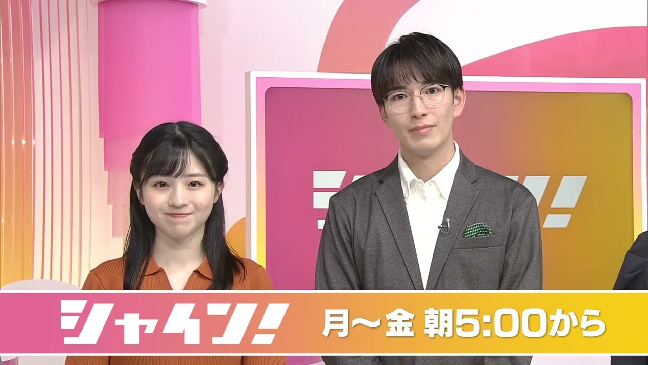 ハイライト動画