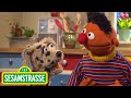 Ernie Und Bert Der Hund Sesamstraße NDR