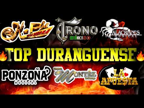 🔥 TOP DURANGUENSE 🔥 K PAZ DE LA SIERRA - ALACRANES MUSICAL - MONTEZ - PONZOÑA MUSICAL - LA APUESTA