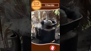 Tè, tisane e infusi: le differenze spiegate