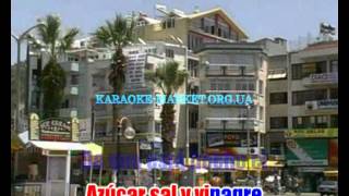 Karaoke "Corazon Congelado" - Pastora Soler sing online