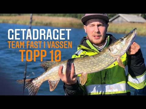 Pike fishing competition