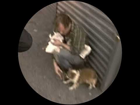 Vinalog - Phasing Ride