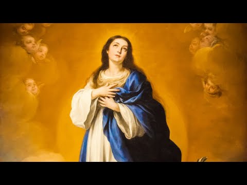 JKS 363 - Panna čistá, Matka Krista