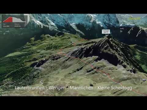 Lauterbrunnen - Wengen - Männlichen - Kleine Scheidegg ∆ hiking trails ∆ 3d-trail.com/switzerland/