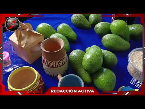 EL AMBIENTE FUE ANALIZADO EN CARCHI