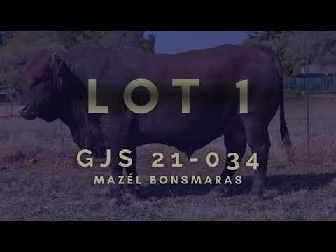 Lot 1 - GJS 21-034