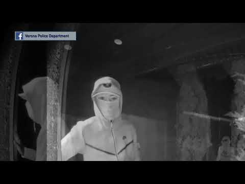 Verona Break-Ins