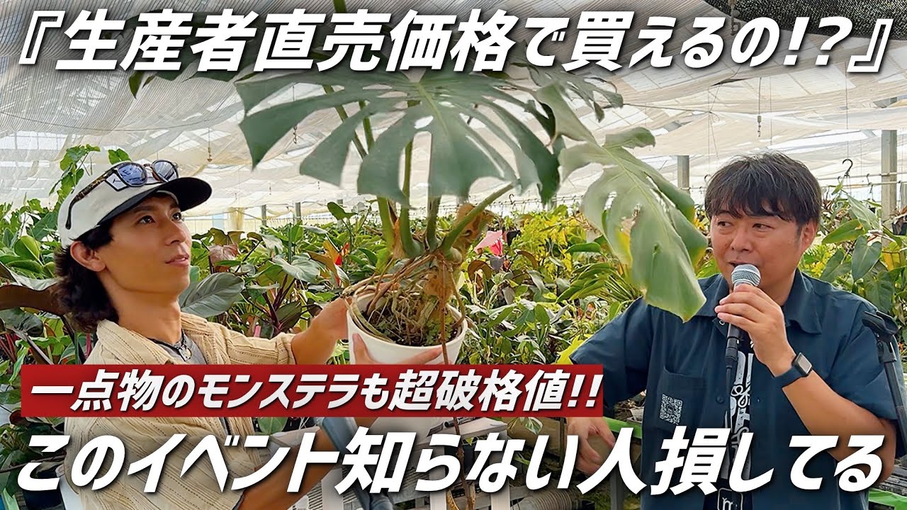 普段は入れない観葉生産者のオープンハウスが楽し過ぎるDay!!【むらかみ園芸】