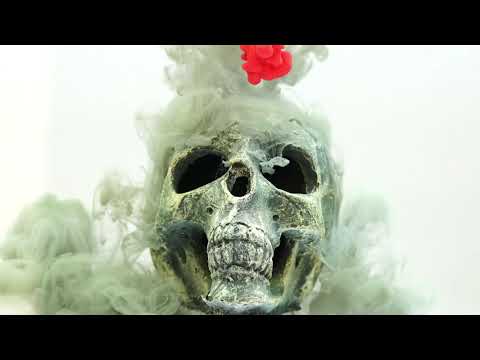 Ricky Lix & Tha God Fahim - In My Day (Official Video)