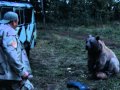 Воронины VS Мишка 