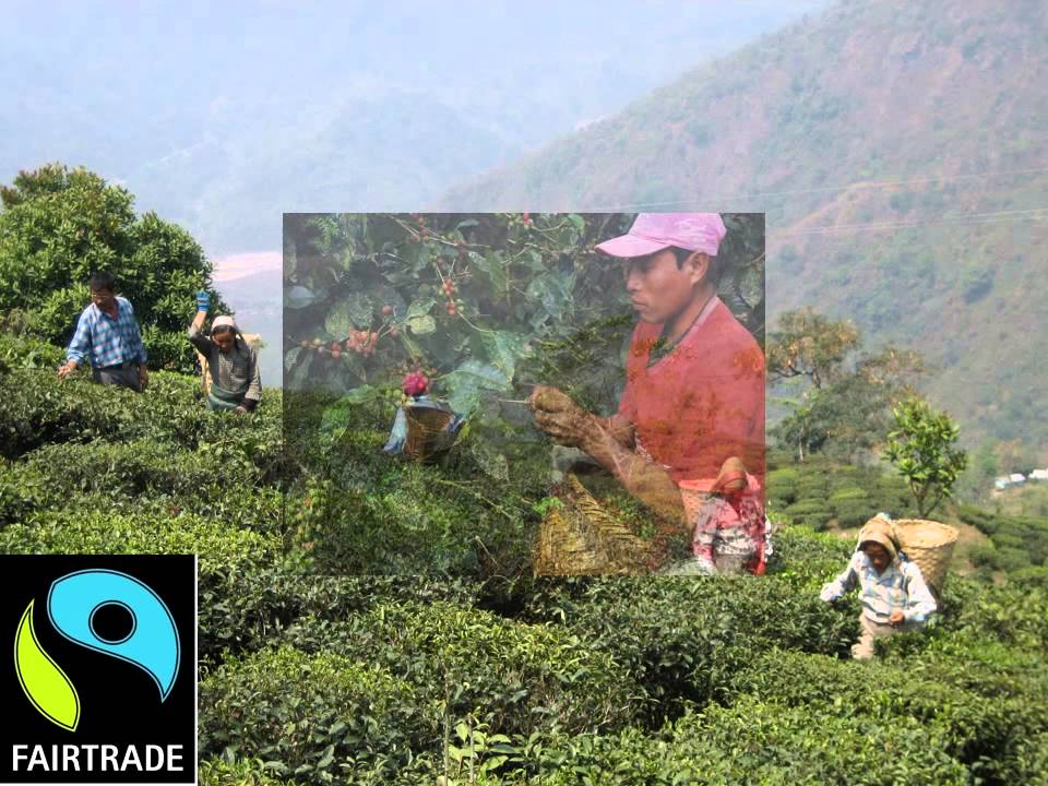 Agricultural Justice, Abnormal Justice - Sarah Besky