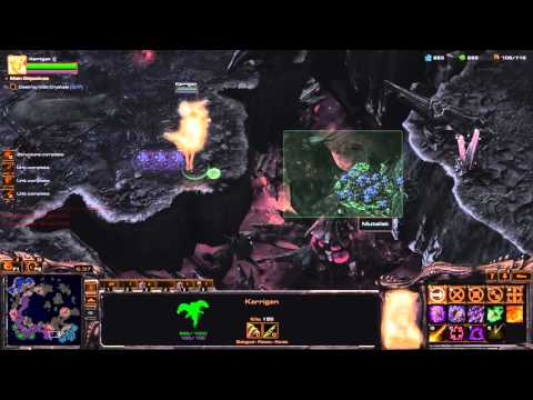 "Amon's Fall" Brutal Speedrun [9:41] Blizzard Time - Starcraft 2 Legacy of The Void