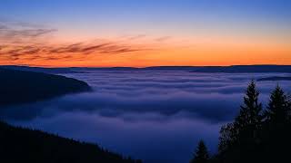 A Journey Through Nature’s Wonders