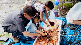 【2026年夏休み🌻】ほぼ金魚すくい🐟合計26匹か？！(豚カフェ・鳥さん餌やり・ニジマス釣り・発芽実験他‥)
