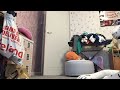 Gymnastics